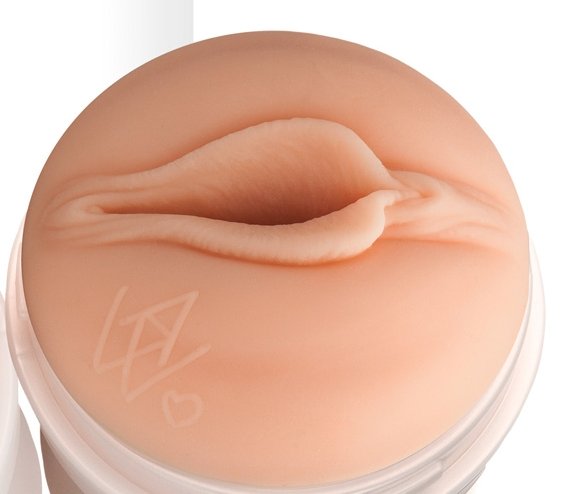 Chinesische Quermuschi.jpg