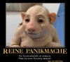 schweinegrippe panikmache.jpg